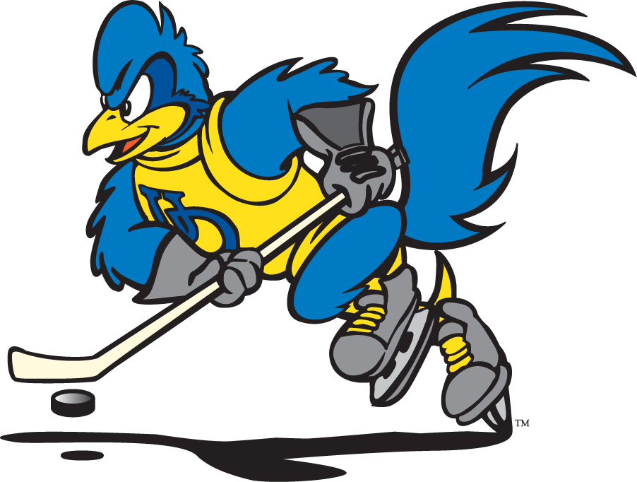 Delaware Blue Hens 1999-2009 Mascot Logo v13 iron on transfers for T-shirts
